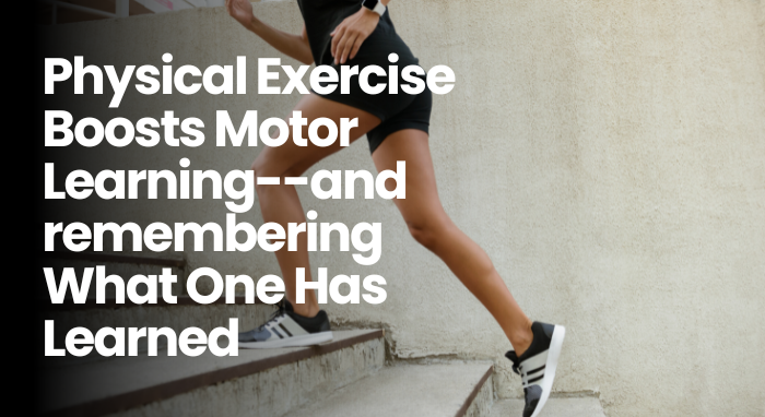 Physical Exercise Boosts Motor Learning